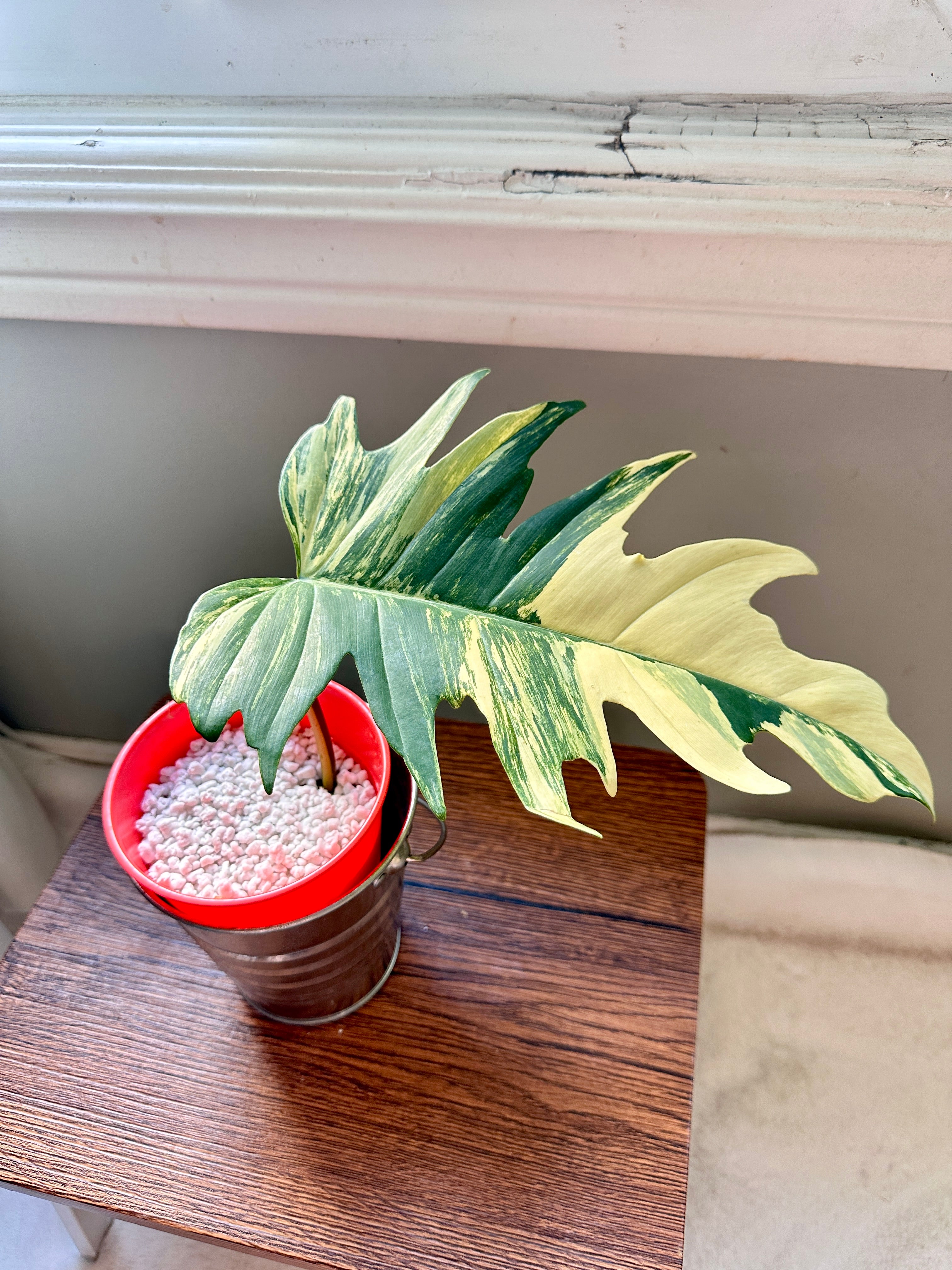 8EFED208-6158-4E33-B7FE-