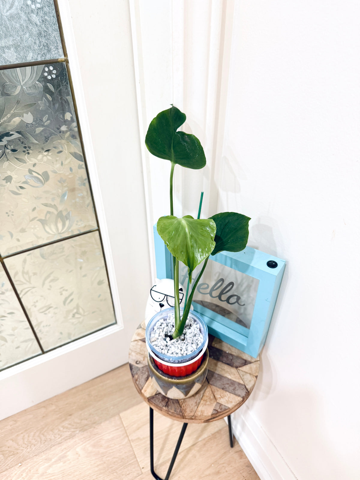 Monstera Tattoo